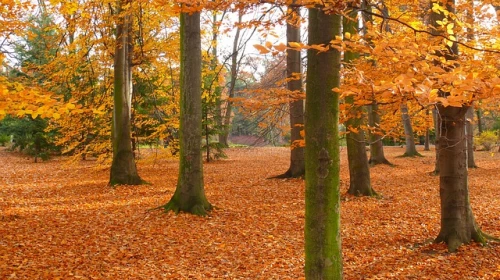Inizia l'autunno meteorologico: arrivederci estate, arrivano fresco e instabilità